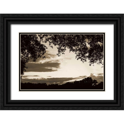 Sunset through Trees II Black Ornate Wood Framed Art Print with Double Matting by Hausenflock, Alan