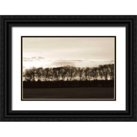 Winter Sunset II Black Ornate Wood Framed Art Print with Double Matting by Hausenflock, Alan