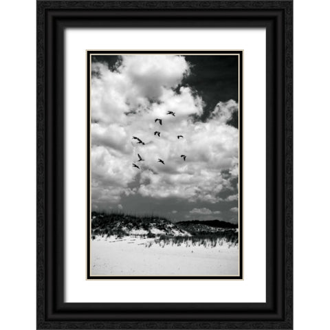 Pelicans over Dunes V Black Ornate Wood Framed Art Print with Double Matting by Hausenflock, Alan