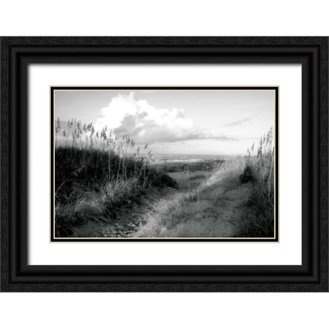 Dunes I Black Ornate Wood Framed Art Print with Double Matting by Hausenflock, Alan