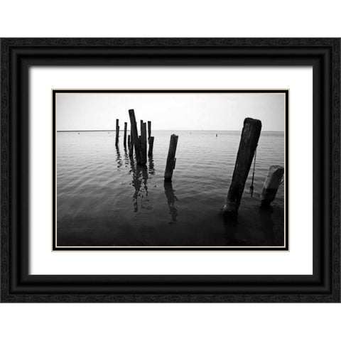 Pilings I Black Ornate Wood Framed Art Print with Double Matting by Hausenflock, Alan