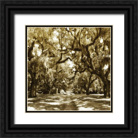 Druid Oak Square I Black Ornate Wood Framed Art Print with Double Matting by Hausenflock, Alan