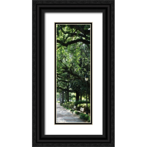 Savannah Sidewalk Panel I Black Ornate Wood Framed Art Print with Double Matting by Hausenflock, Alan