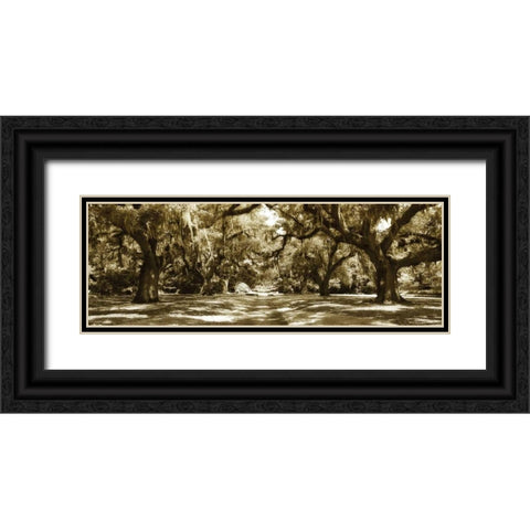 Druid Oaks Panel I Black Ornate Wood Framed Art Print with Double Matting by Hausenflock, Alan