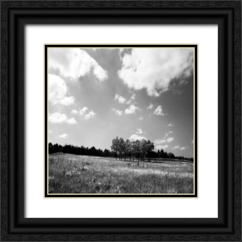 Tree Line Sq. II Black Ornate Wood Framed Art Print with Double Matting by Hausenflock, Alan