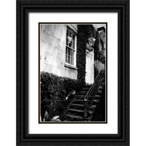 Savannah Style II Black Ornate Wood Framed Art Print with Double Matting by Hausenflock, Alan