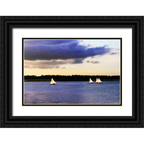 Sunfish Sailors I Black Ornate Wood Framed Art Print with Double Matting by Hausenflock, Alan