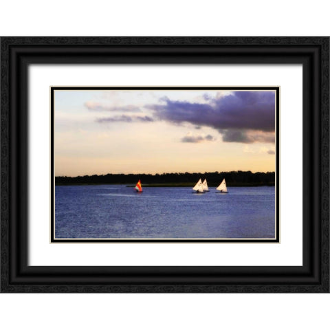 Sunfish Sailors II Black Ornate Wood Framed Art Print with Double Matting by Hausenflock, Alan