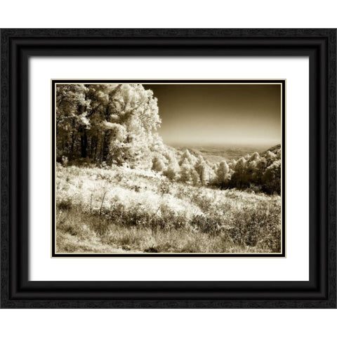 Swift Run Gap I Black Ornate Wood Framed Art Print with Double Matting by Hausenflock, Alan