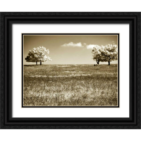 Mountain Picnic I Black Ornate Wood Framed Art Print with Double Matting by Hausenflock, Alan