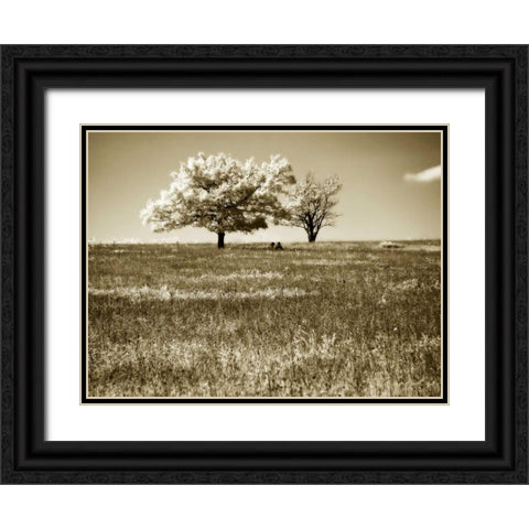 Mountain Picnic II Black Ornate Wood Framed Art Print with Double Matting by Hausenflock, Alan
