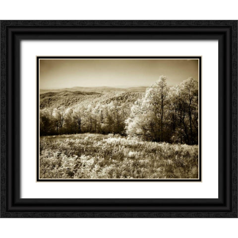 Piney Mountain II Black Ornate Wood Framed Art Print with Double Matting by Hausenflock, Alan