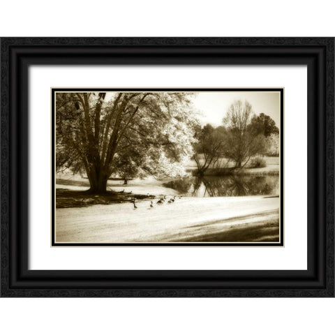 Geese at the Pond II Black Ornate Wood Framed Art Print with Double Matting by Hausenflock, Alan