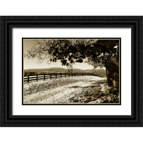The Road Home II Black Ornate Wood Framed Art Print with Double Matting by Hausenflock, Alan