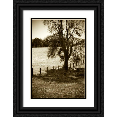 Rolling Pastures I Black Ornate Wood Framed Art Print with Double Matting by Hausenflock, Alan