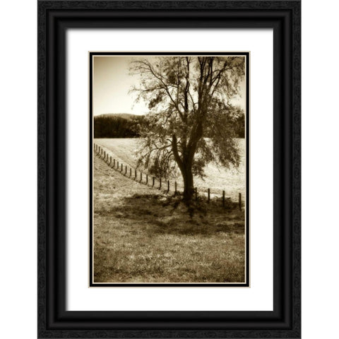 Rolling Pastures II Black Ornate Wood Framed Art Print with Double Matting by Hausenflock, Alan