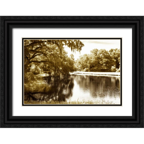 Mossy Lake I Black Ornate Wood Framed Art Print with Double Matting by Hausenflock, Alan