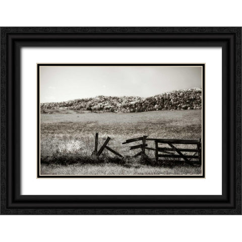 Autumn Pastures III Black Ornate Wood Framed Art Print with Double Matting by Hausenflock, Alan