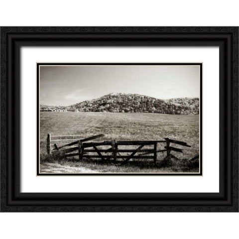 Autumn Pastures IV Black Ornate Wood Framed Art Print with Double Matting by Hausenflock, Alan