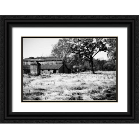 Fallow Fields II Black Ornate Wood Framed Art Print with Double Matting by Hausenflock, Alan