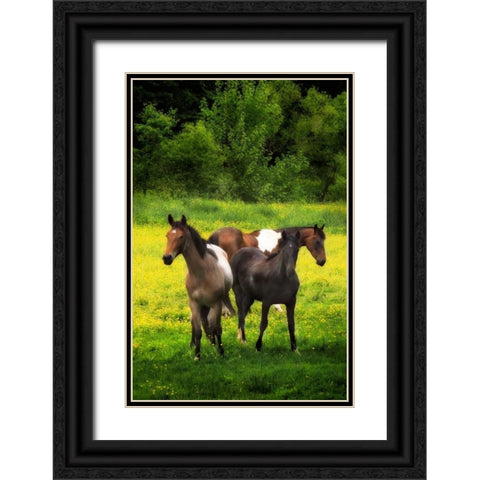 The Horses Three I Black Ornate Wood Framed Art Print with Double Matting by Hausenflock, Alan