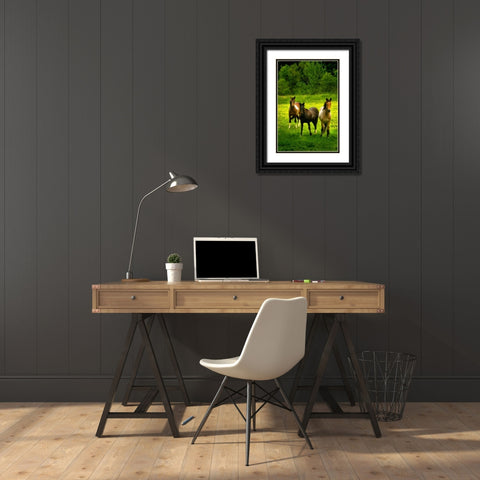 The Horses Three II Black Ornate Wood Framed Art Print with Double Matting by Hausenflock, Alan