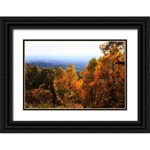 Shenandoah Valley II Black Ornate Wood Framed Art Print with Double Matting by Hausenflock, Alan