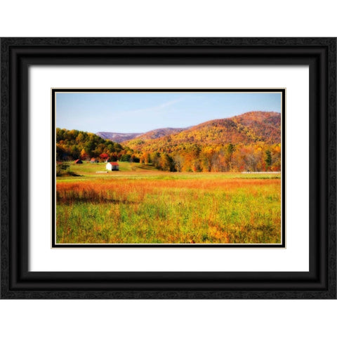 Autumn Fields I Black Ornate Wood Framed Art Print with Double Matting by Hausenflock, Alan