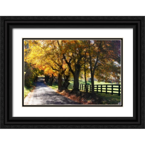 Country Road I Black Ornate Wood Framed Art Print with Double Matting by Hausenflock, Alan