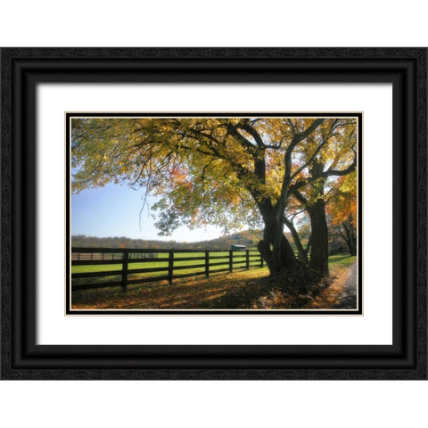 Hillside Farm I Black Ornate Wood Framed Art Print with Double Matting by Hausenflock, Alan