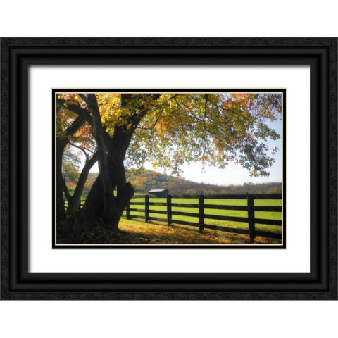 Hillside Farm II Black Ornate Wood Framed Art Print with Double Matting by Hausenflock, Alan