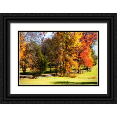 Keswick Pasture I Black Ornate Wood Framed Art Print with Double Matting by Hausenflock, Alan