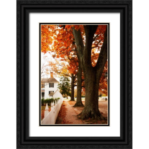 Small Town Autumn II Black Ornate Wood Framed Art Print with Double Matting by Hausenflock, Alan