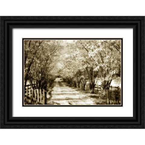 Glen Allen Farm II Black Ornate Wood Framed Art Print with Double Matting by Hausenflock, Alan