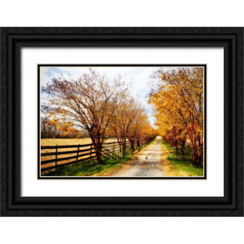 Glen Allen Farm IV Black Ornate Wood Framed Art Print with Double Matting by Hausenflock, Alan