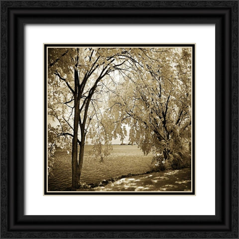 Hopewell Shores I Black Ornate Wood Framed Art Print with Double Matting by Hausenflock, Alan