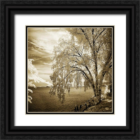 Hopewell Shores II Black Ornate Wood Framed Art Print with Double Matting by Hausenflock, Alan