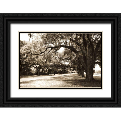 Charleston Oaks 9 Sepia Black Ornate Wood Framed Art Print with Double Matting by Hausenflock, Alan