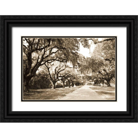 Charleston Oaks 10 Sepia Black Ornate Wood Framed Art Print with Double Matting by Hausenflock, Alan