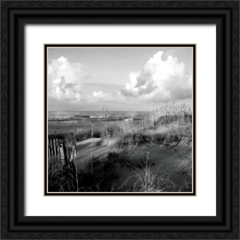 Dunes II Sq. BW Black Ornate Wood Framed Art Print with Double Matting by Hausenflock, Alan