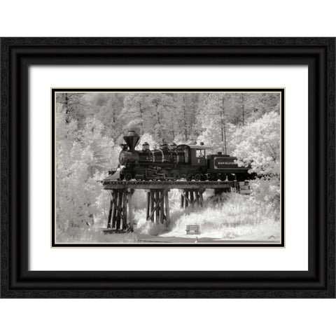 Black Hills RR I Black Ornate Wood Framed Art Print with Double Matting by Johnson, George