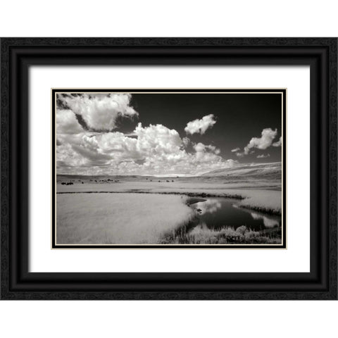 Yellowstone Creek and Clouds I Black Ornate Wood Framed Art Print with Double Matting by Johnson, George
