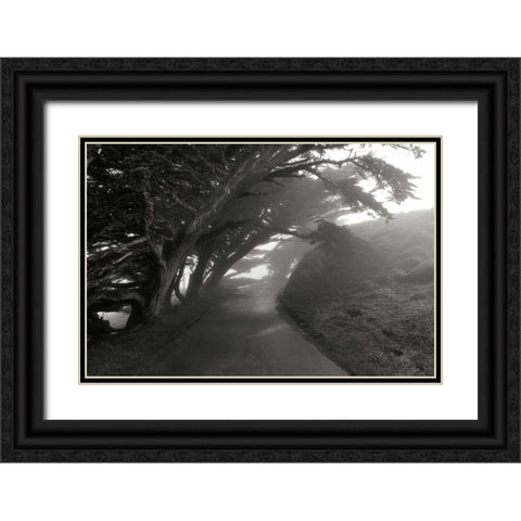 Point Reyes I Black Ornate Wood Framed Art Print with Double Matting by Johnson, George