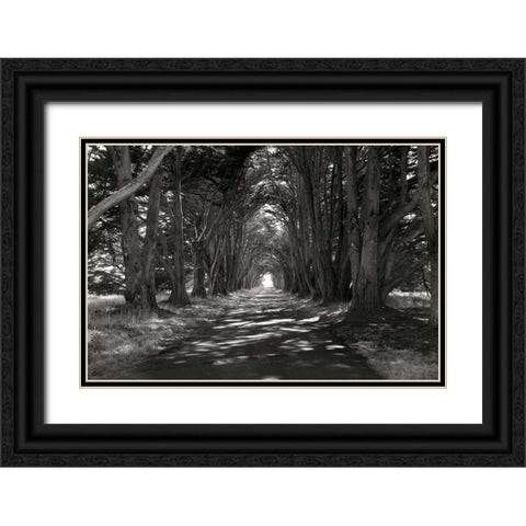 Point Reyes II Black Ornate Wood Framed Art Print with Double Matting by Johnson, George