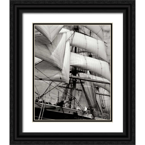Star of India II Black Ornate Wood Framed Art Print with Double Matting by Johnson, George