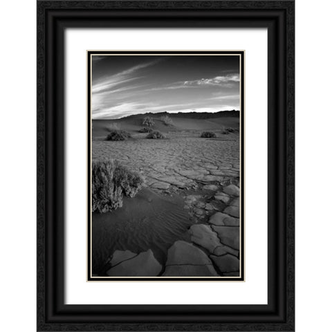 Death Valley Dunes II Black Ornate Wood Framed Art Print with Double Matting by Johnson, George
