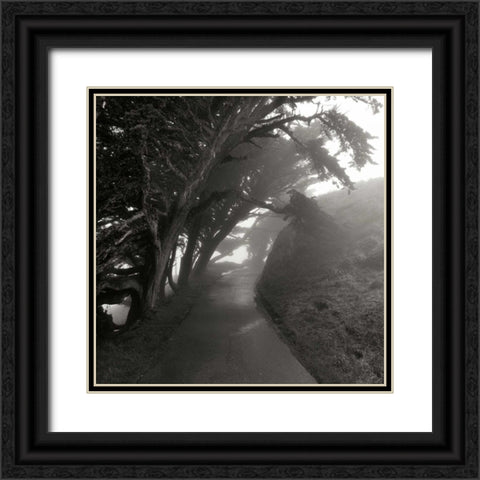 Point Reyes III Black Ornate Wood Framed Art Print with Double Matting by Johnson, George