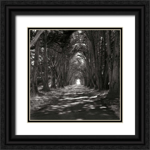 Point Reyes IV Black Ornate Wood Framed Art Print with Double Matting by Johnson, George