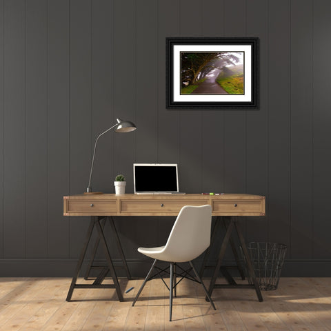 Foggy Path Black Ornate Wood Framed Art Print with Double Matting by Johnson, George