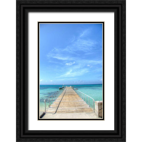 Grand Turk III Black Ornate Wood Framed Art Print with Double Matting by Johnson, George